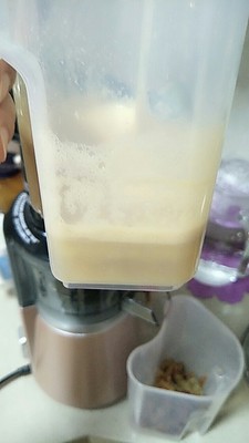 什么样的榨汁机好