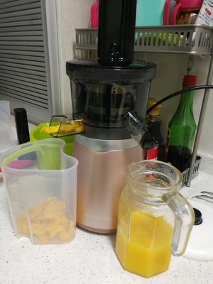 什么样的榨汁机好