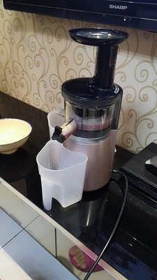 什么样的榨汁机好