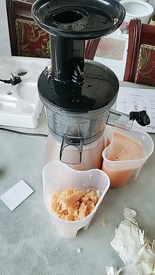 什么样的榨汁机好