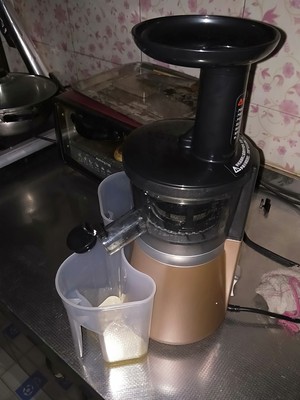 什么样的榨汁机好