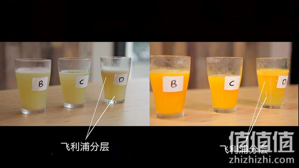 4款热门榨汁机对比评测，来看看哪个更适合你！榨汁机哪个牌子好？好用的榨汁机推荐